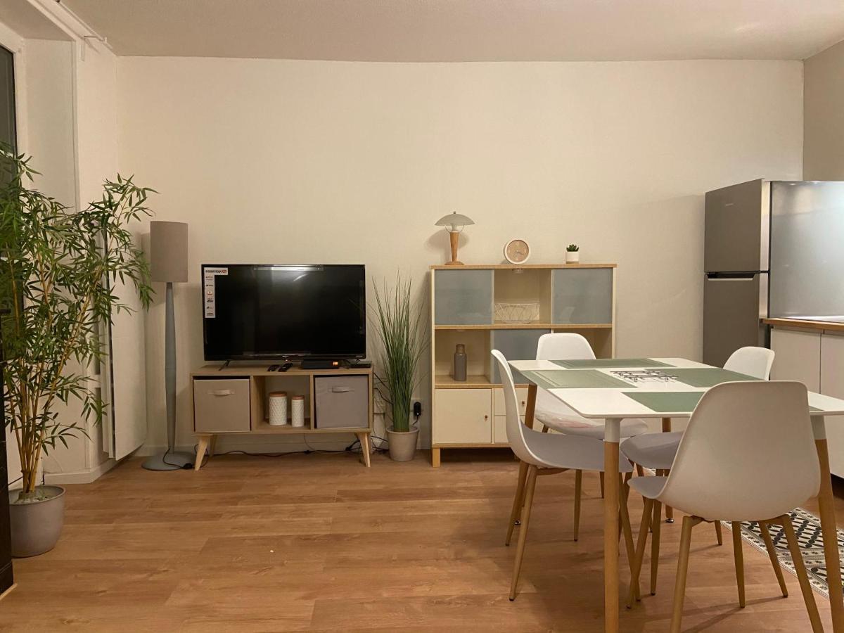 Apartment Chez Muriel,t2 De Charme, Parc Ste Marie, Thermal, Mon Désert Nancy