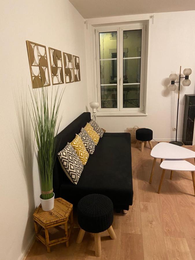 Chez Muriel,t2 De Charme, Parc Ste Marie, Thermal, Mon Désert Apartment *